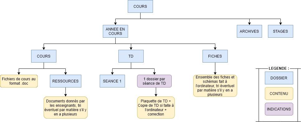 Arborescence
